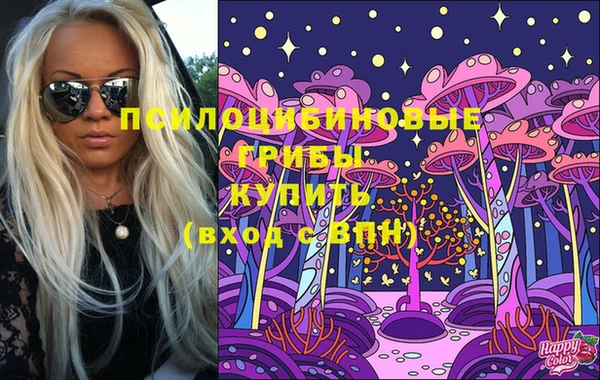 apvp Алзамай