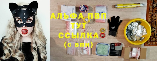 apvp Алзамай