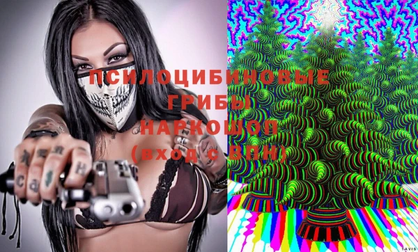 apvp Алзамай