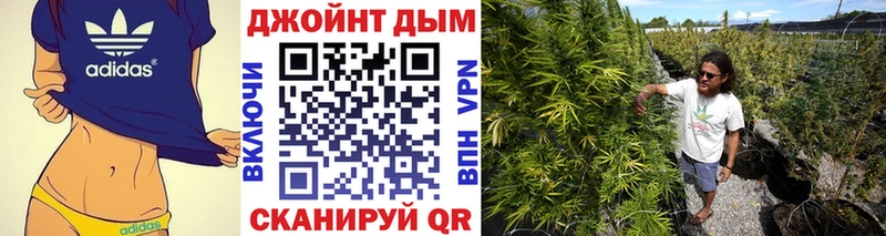 Бошки Шишки конопля mega зеркало Черепаново