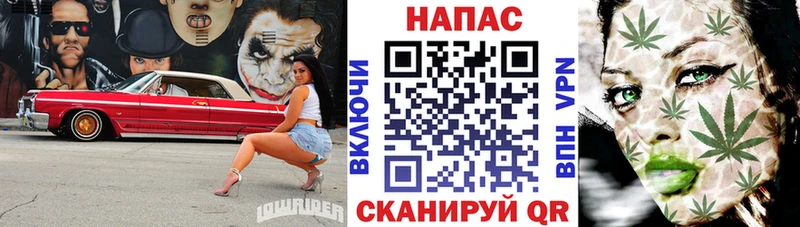 МАРИХУАНА индика Черепаново